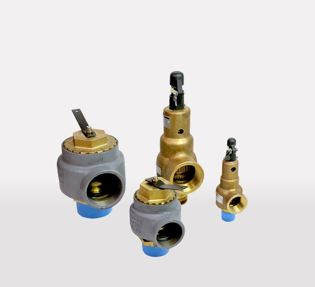 Safety Relief Valves